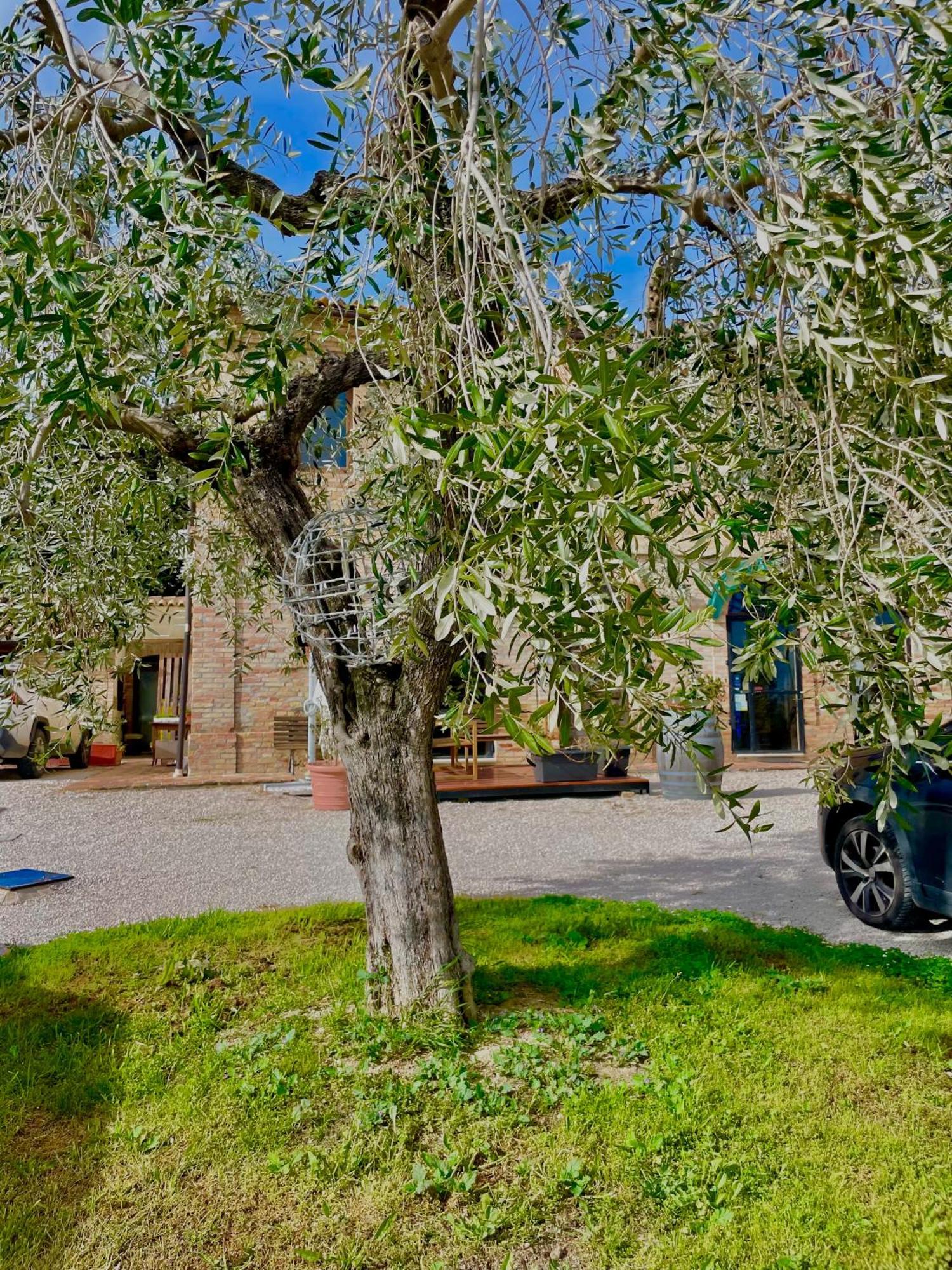 Masseria Tattoni - Residenza Di Campagna - Narramondo Villas Bellante Exteriör bild